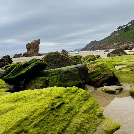 Apartment La Huerta Del Mingacho